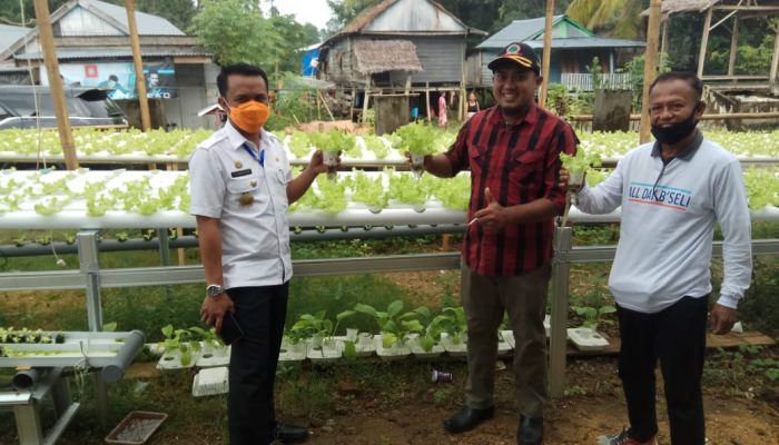 Dinas Ketapang Bone Lakukan Pengambilan Sample Uji Residu Tanaman Hidroponik