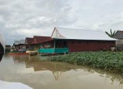 Foto : Kondisi Banjir di Kabupaten Wajo