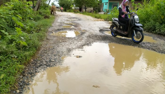 Ruas Poros Jalan Majang-Maduri Mirip Kubangan Kerbau