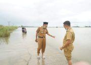 Sungai Walanae Meluap, Wakil Bupati Bone Sambangi Lokasi Banjir di Dua Boccoe