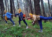 Viral ! Hutan Pinus di Bone Ini Jadi Primadona Para Wisatawan Lokal di Akhir Pekan