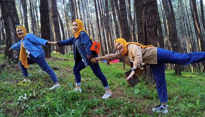 Viral ! Hutan Pinus di Bone Ini Jadi Primadona Para Wisatawan Lokal di Akhir Pekan