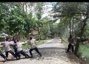 Membahayakan Pengguna Jalan, SAR Yon C Pelopor Eksekusi 2 Pohon di Jalan Kinibalu
