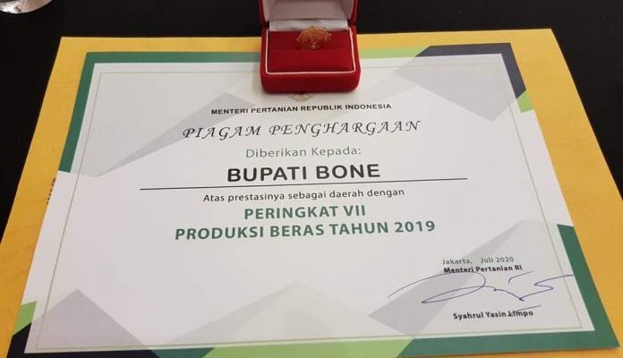 Hebat, Bone Jadi Sentra Penghasil Beras Ke Tujuh Nasional