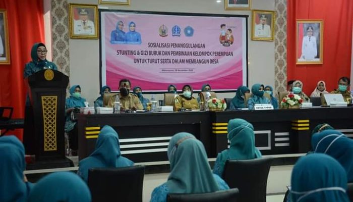 Cegah Stunting, Ketua Tim Peggerak PPK Bone Ajak Kader Berperan Aktif