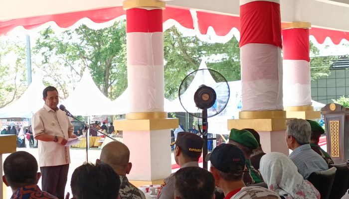 Pj Gubernur Sulsel Perintahkan Kades Tanam Pisang Pakai 40 Persen Dana Desa, Pj Bupati Bone: Tunggu Juknis Kemendes