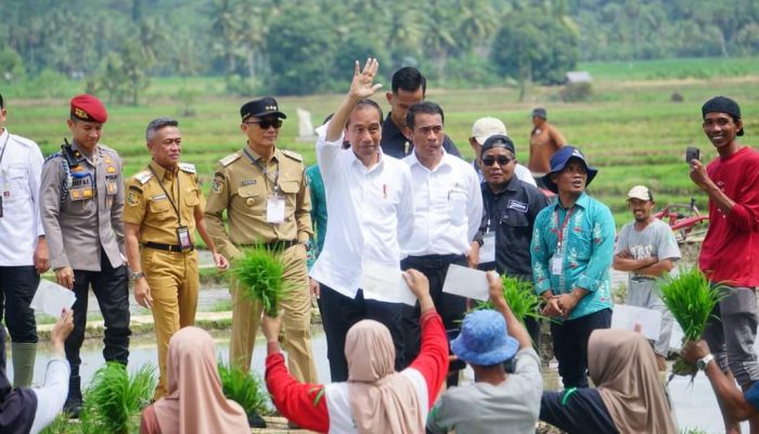 Presiden Jokowi Kunjungan Kerja di Bone, Sapa Petani Hingga Pedagang di Pasar Palakka