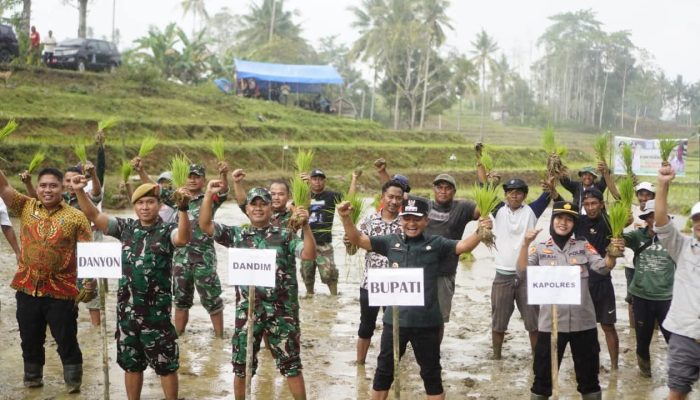 Bupati Andi Asman Gelar Tanam Perdana di Desa Padaelo dan Desa Samaenre
