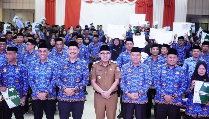 Hore, 380 PPPK Lingkup Kemenag Bone Tahap 1 Formasi Tahun 2024 Akhirnya Kantongi SK