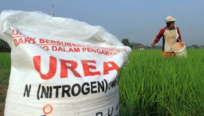 Pemerintah Resmi Eliminasi 27.000 Distributor Pupuk, Kini Diambil Alih Kopdes Merah Putih