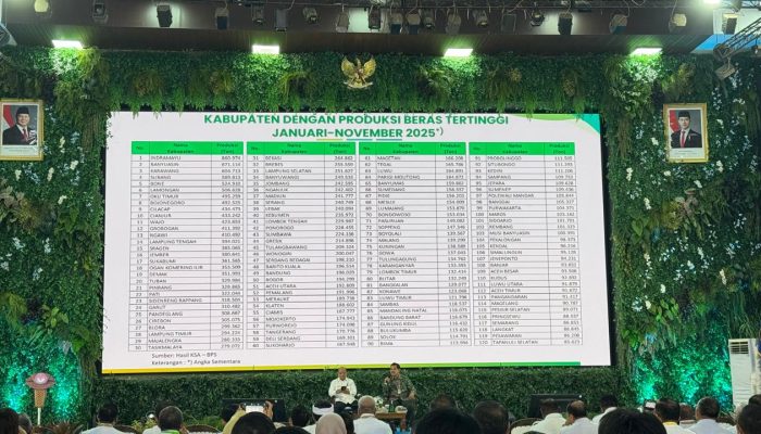 Masuk 5 Besar Nasional Produksi Beras, Bone Buktikan Diri Jadi Raja Beras Timur Indonesia