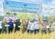 Stok Beras dan Gula Tertinggi di Sulsel, Bupati Bone Dipuji BI Soal Pengendalian Inflasi