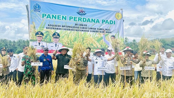 Stok Beras dan Gula Tertinggi di Sulsel, Bupati Bone Dipuji BI Soal Pengendalian Inflasi