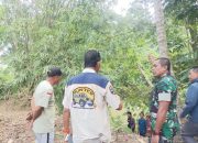 Viral Petani di Bone Angkut Gabah Seberangi Sungai, Dandim Laode Turun Tangan Siap Bangun Jembatan