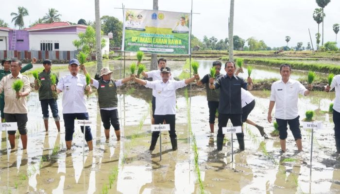 Bone Perkuat Posisi Lumbung Pangan, Bupati Bone Tekankan Produktivitas melalui OPLAH